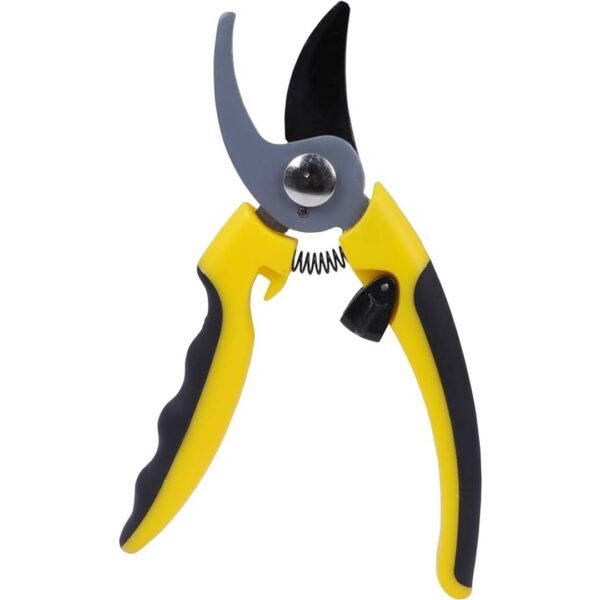 Pruning Shear